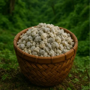 Frankincense mentioned by Hojari for incense